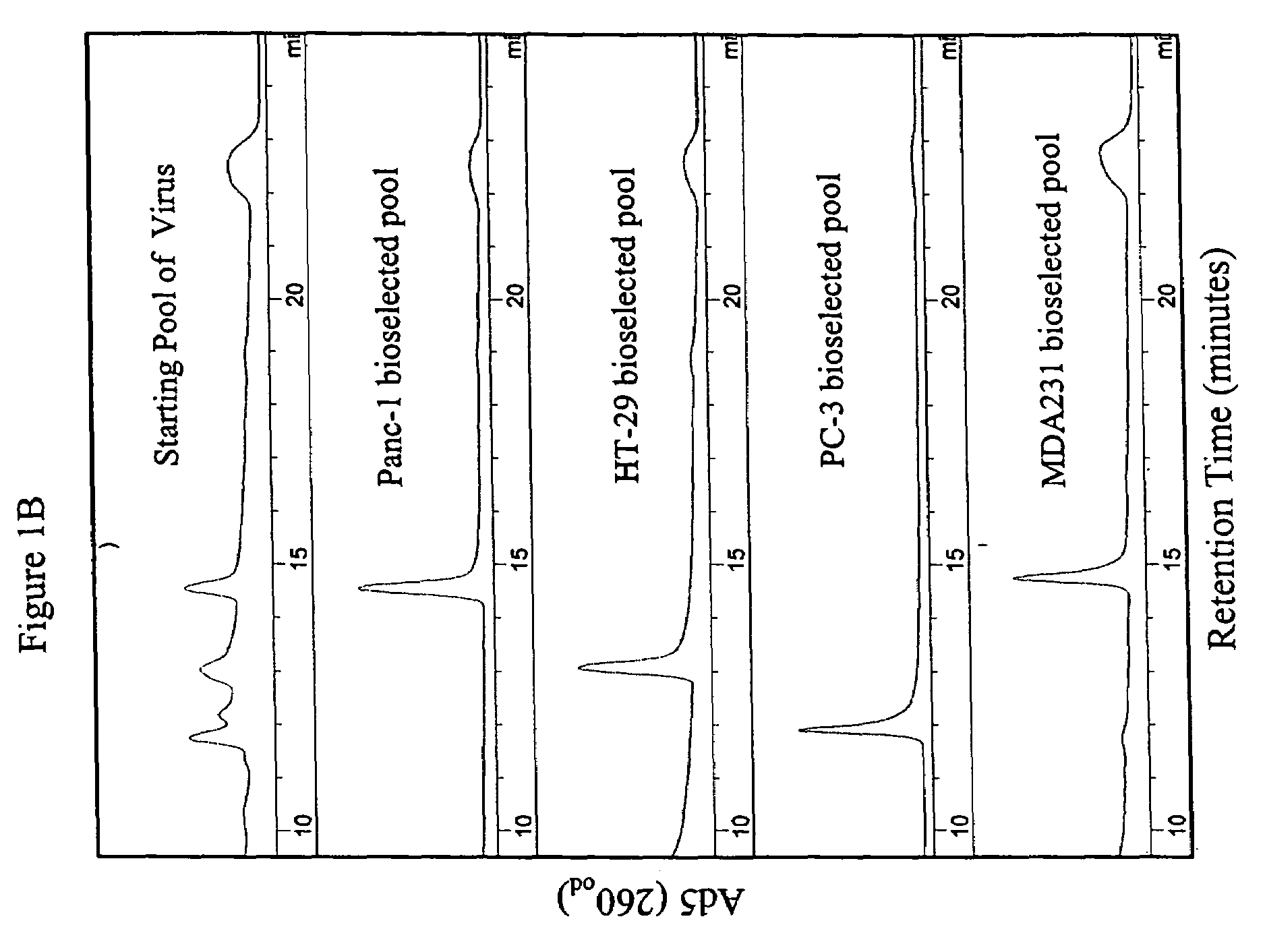 Chimeric adenoviruses for use in cancer treatment