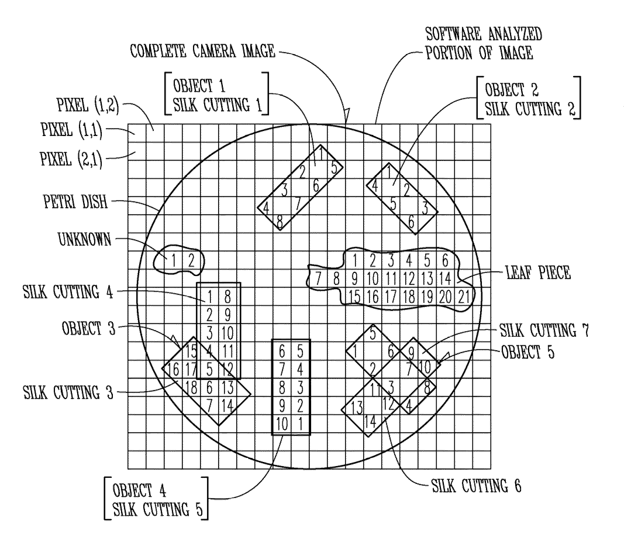 Apparatus and systems for counting corn silks or other plural elongated strands and use of the count for characterizing the strands or their origin