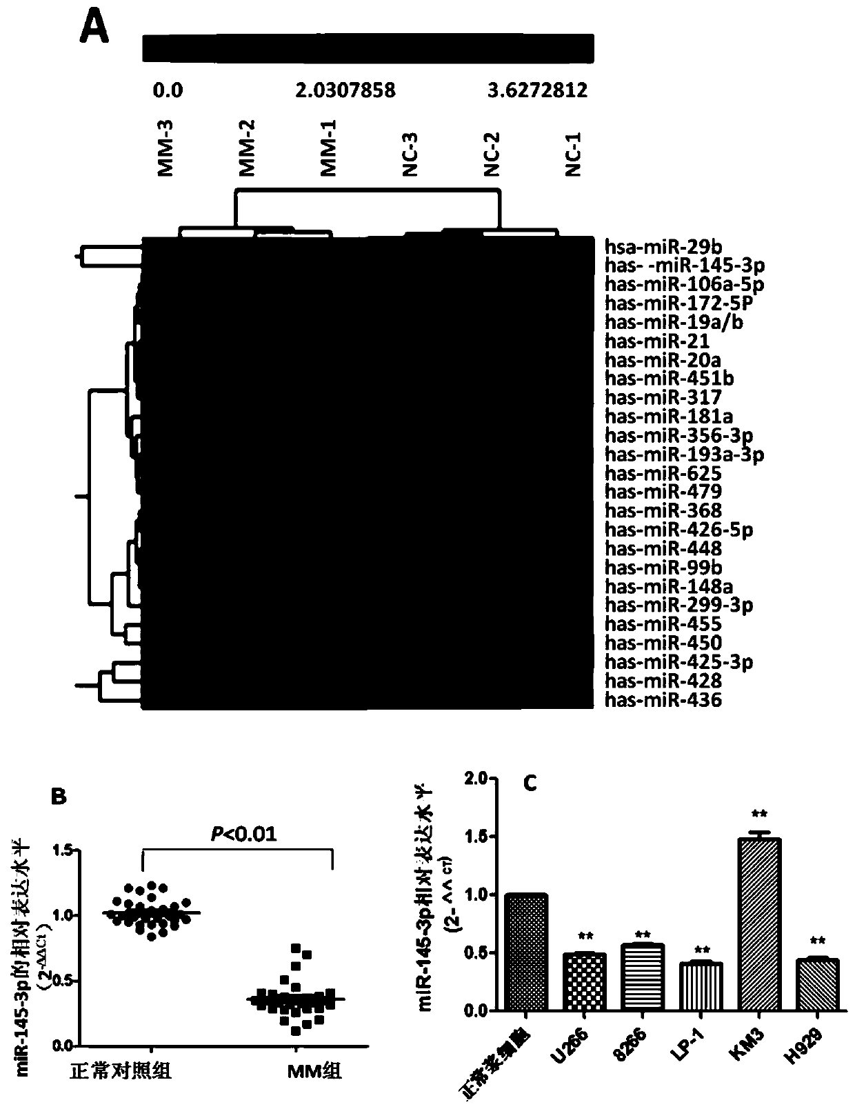 Application of miR-145-3p in preparation of apoptosis and autophagy enhancer