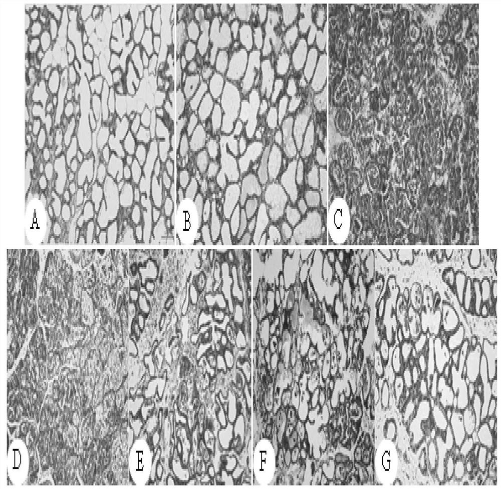 Method for identifying deer hard antler button effective components for treating mastitis