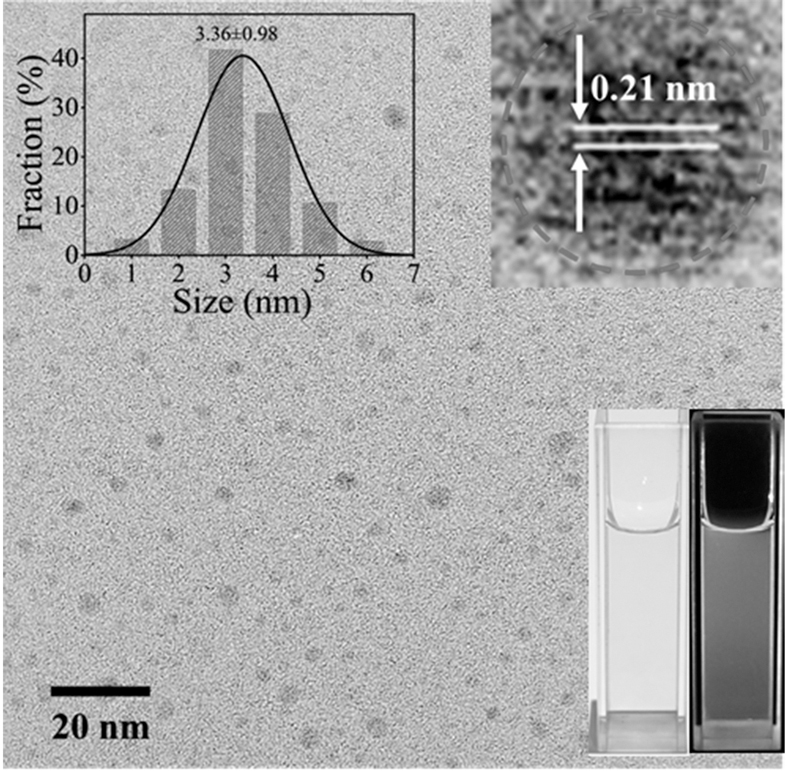 Orange-light carbon dot for rapidly positioning Golgi apparatus based on cyclooxygenase-2 target spot as well as preparation and application of orange-light carbon dot