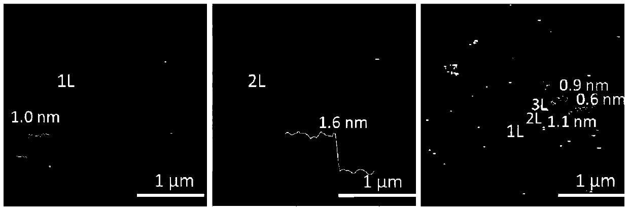 A kind of two-dimensional transition metal chalcogenide film and its preparation method and application