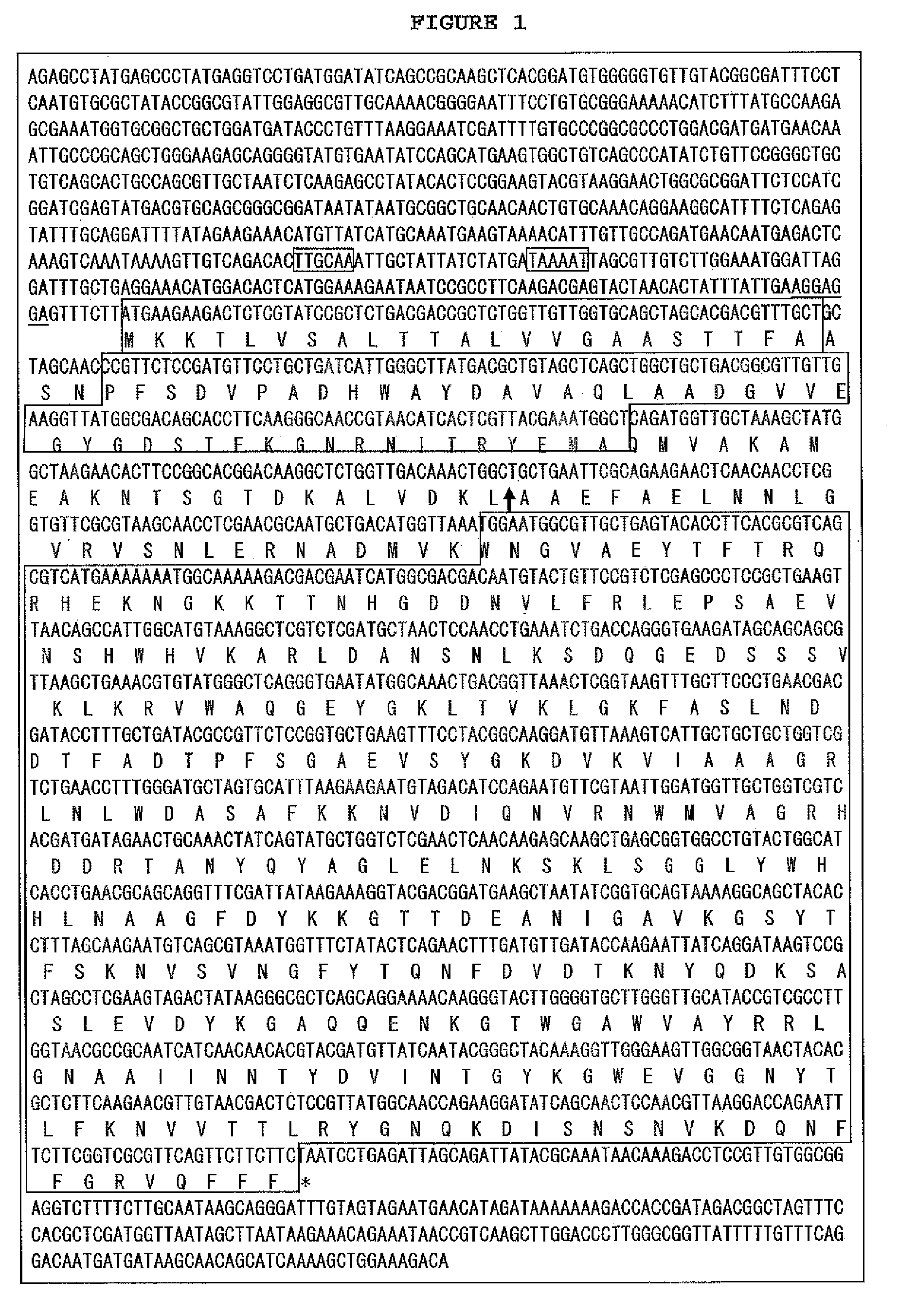 Biochip for the detection of phosphorylation and the detection method using the same