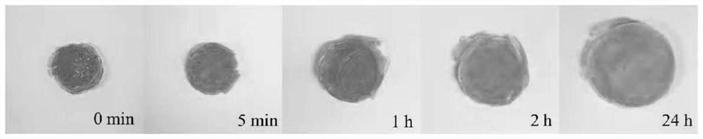 A kind of cationic cyclodextrin-based hydrogel adsorption material and synthesis method thereof