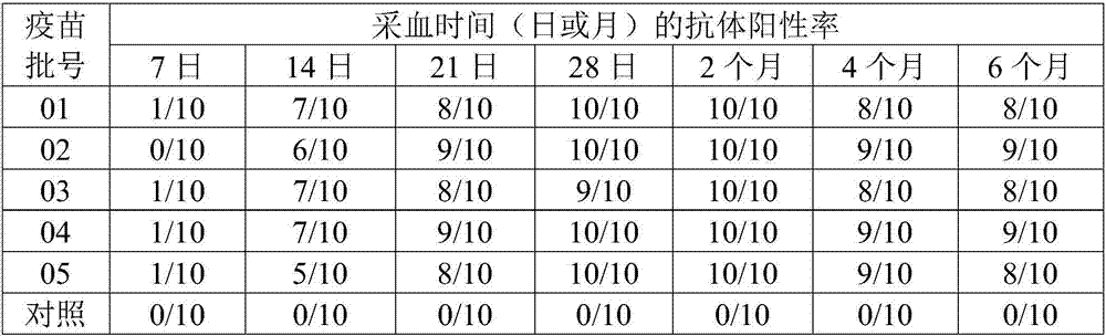 Duck adenovirus type 2 inactivated vaccine