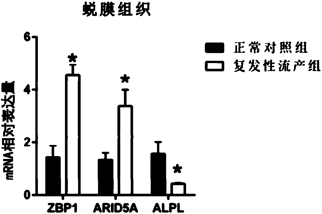 Serum messenger ribonucleic acid biomarker for diagnosing recurrent spontaneous abortion, primer set and application and kit