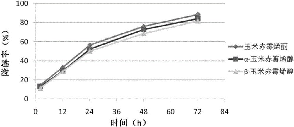 Bacillus subtilis ansb0e1 and its application