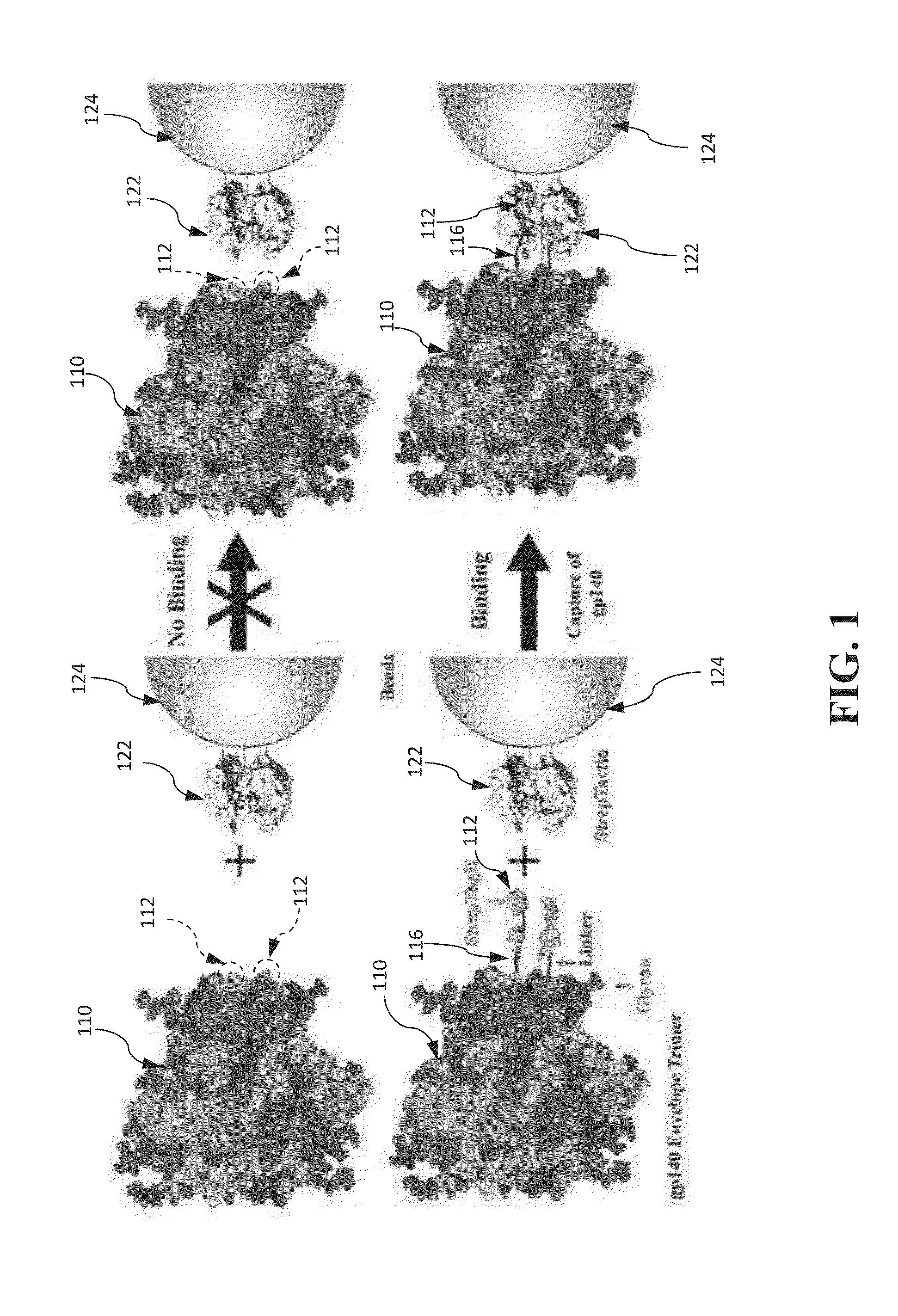 Approach to produce hiv-1 gp140 envelope protein trimers