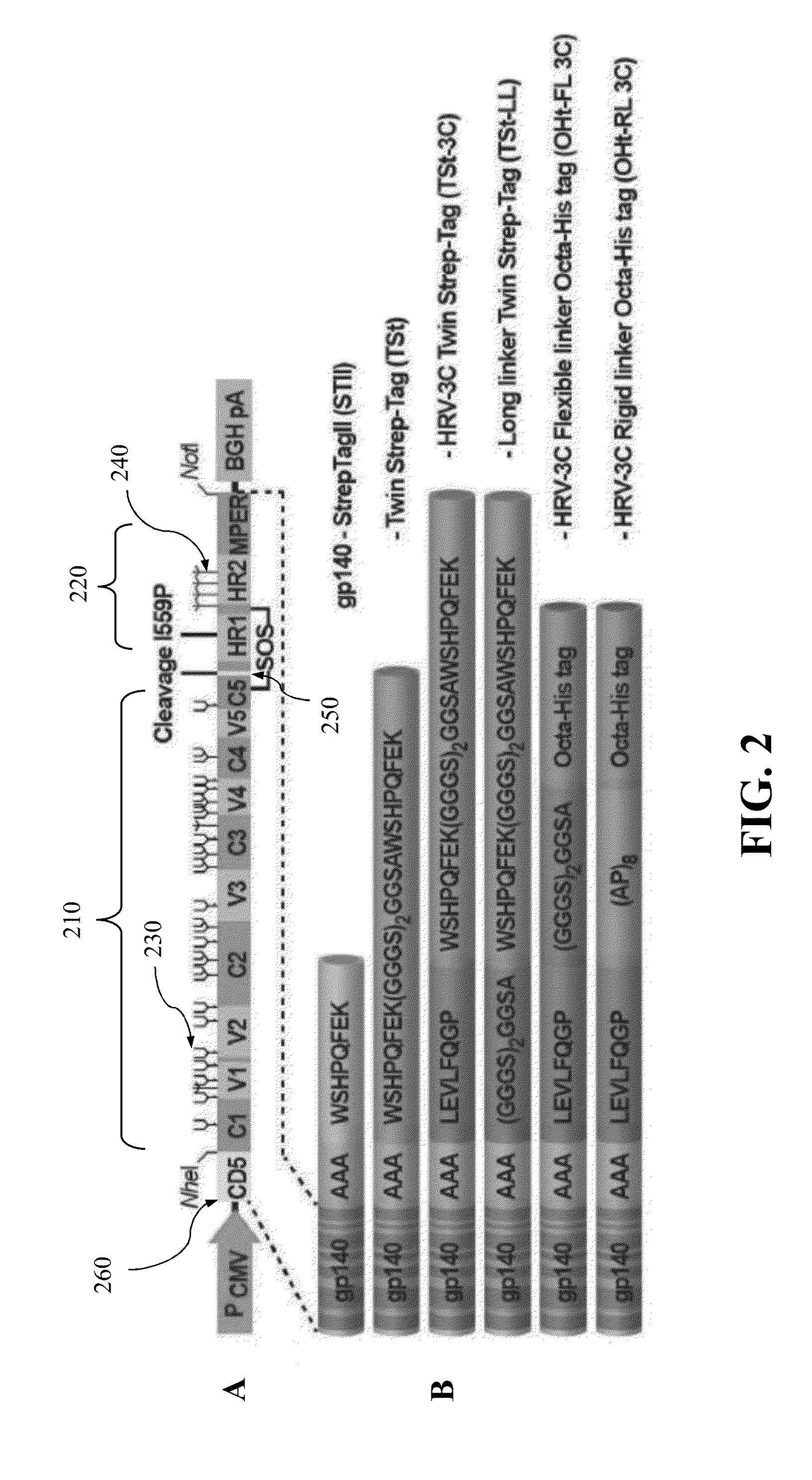 Approach to produce hiv-1 gp140 envelope protein trimers