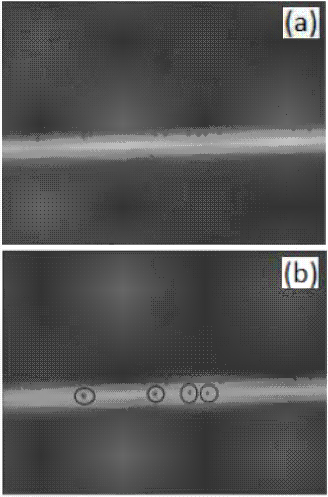 Method for screening magnetic nanoparticle modified cells based on photo-induced dielectrophoresis device