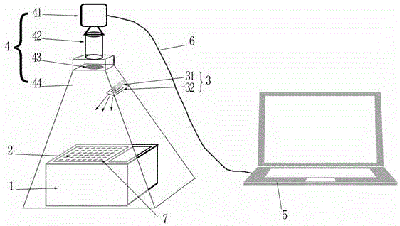 High-flux loop-mediated isothermal amplification foodborne pathogen identification apparatus and detection method thereof