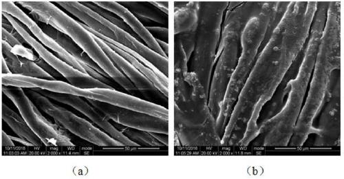 Durable biomass polyphenol water-based flame retardant paint and preparation method and applications thereof