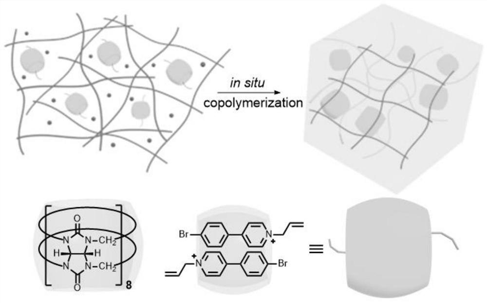 Preparation method, product and application of room-temperature phosphorescent hydrogel