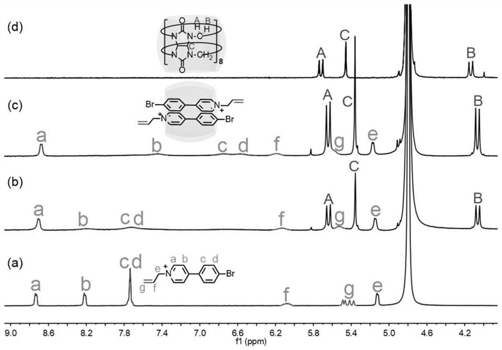 Preparation method, product and application of room-temperature phosphorescent hydrogel