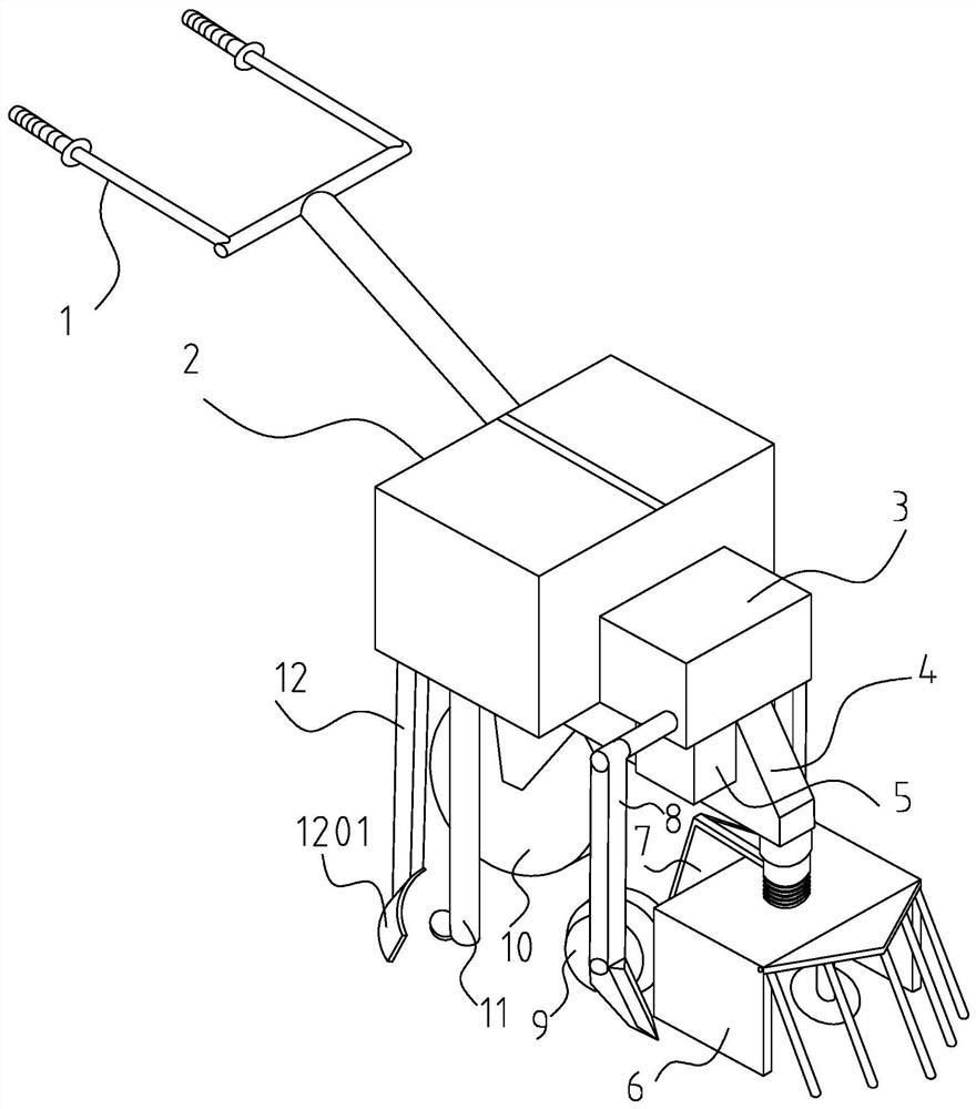 A special weeding and fertilizing device based on rhubarb planting and its high-yield cultivation method