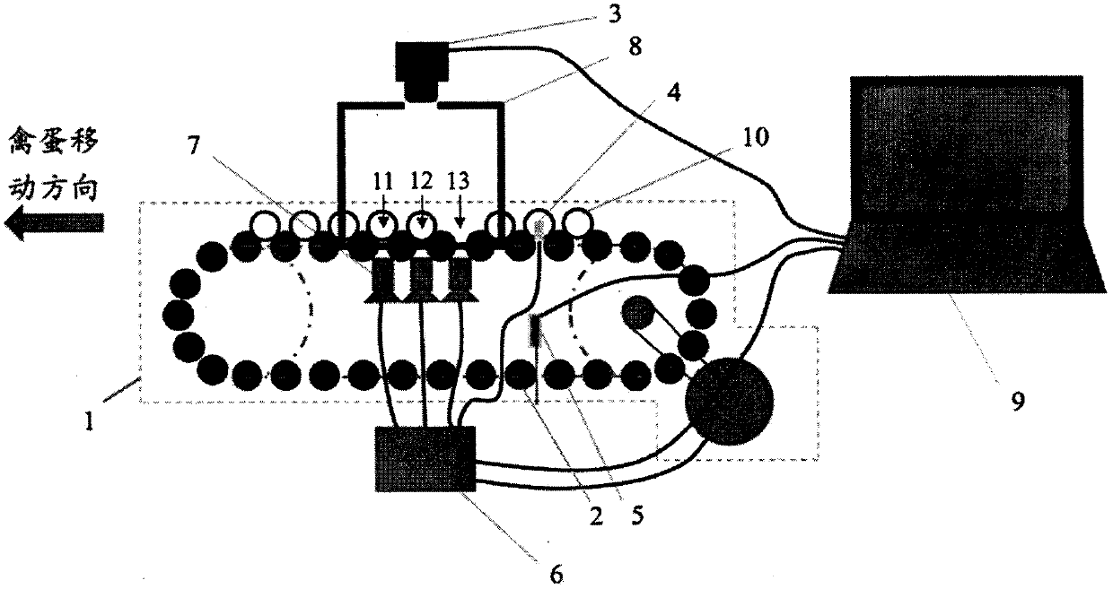 Dynamic egg image acquisition equipment