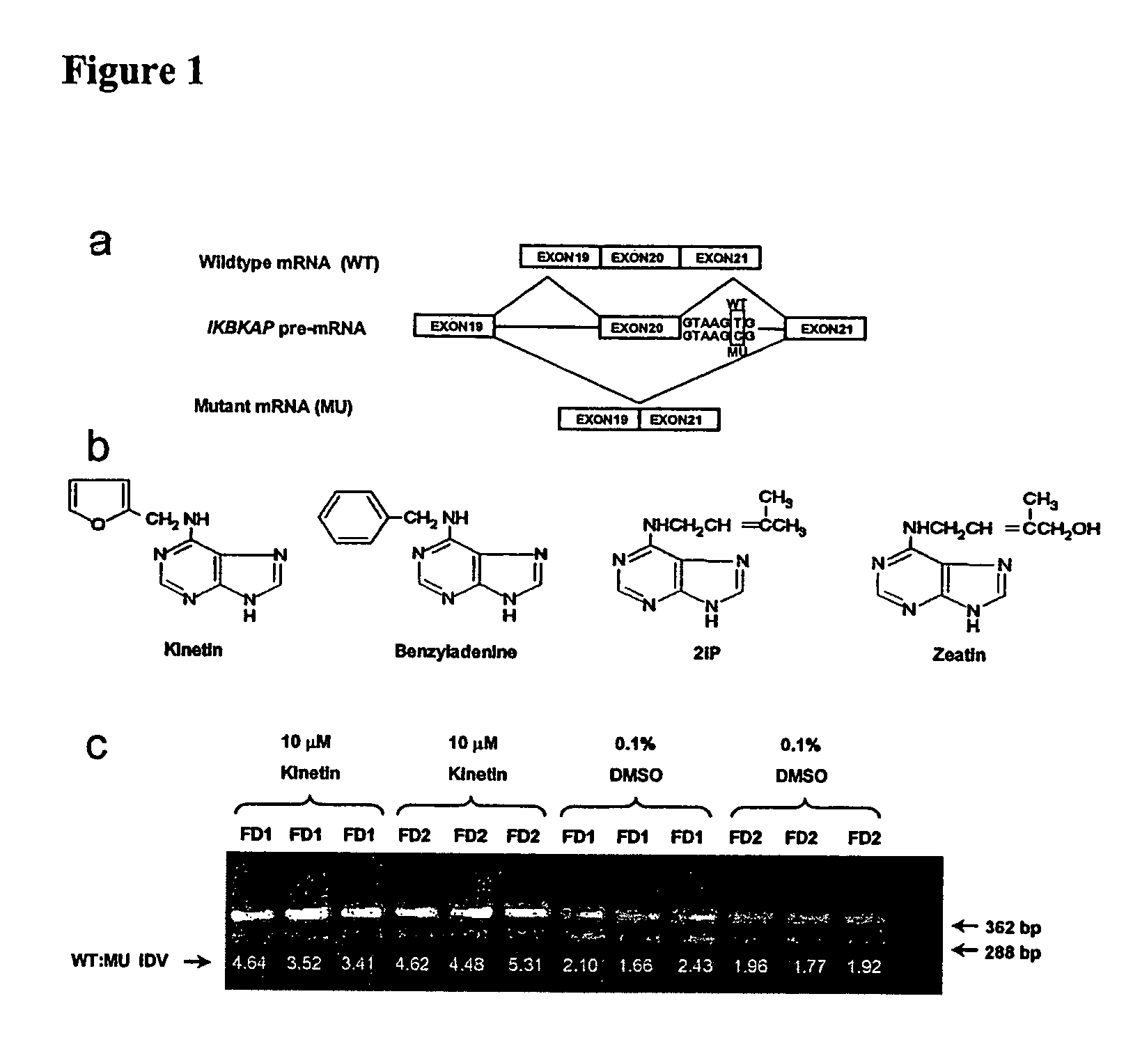 Methods for altering mRNA splicing and treating familial dysautonomia and other mechanistically related disorders