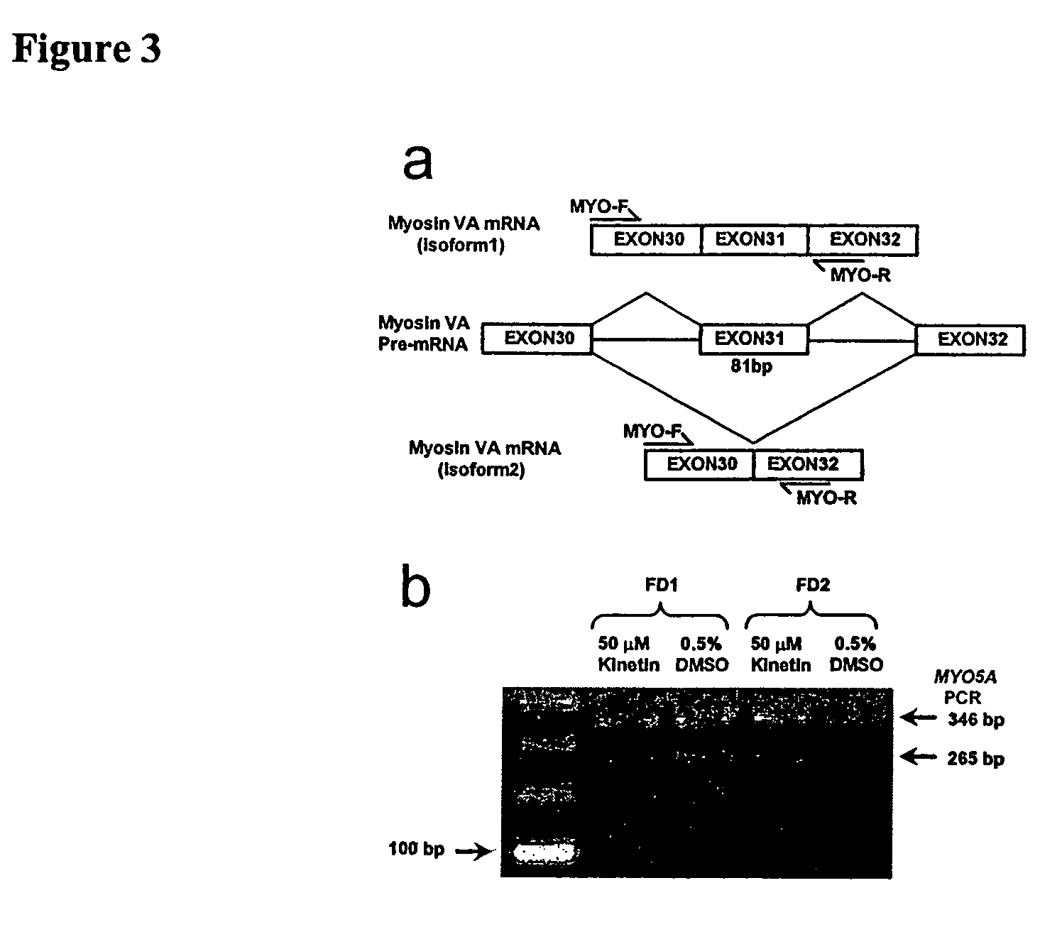 Methods for altering mRNA splicing and treating familial dysautonomia and other mechanistically related disorders