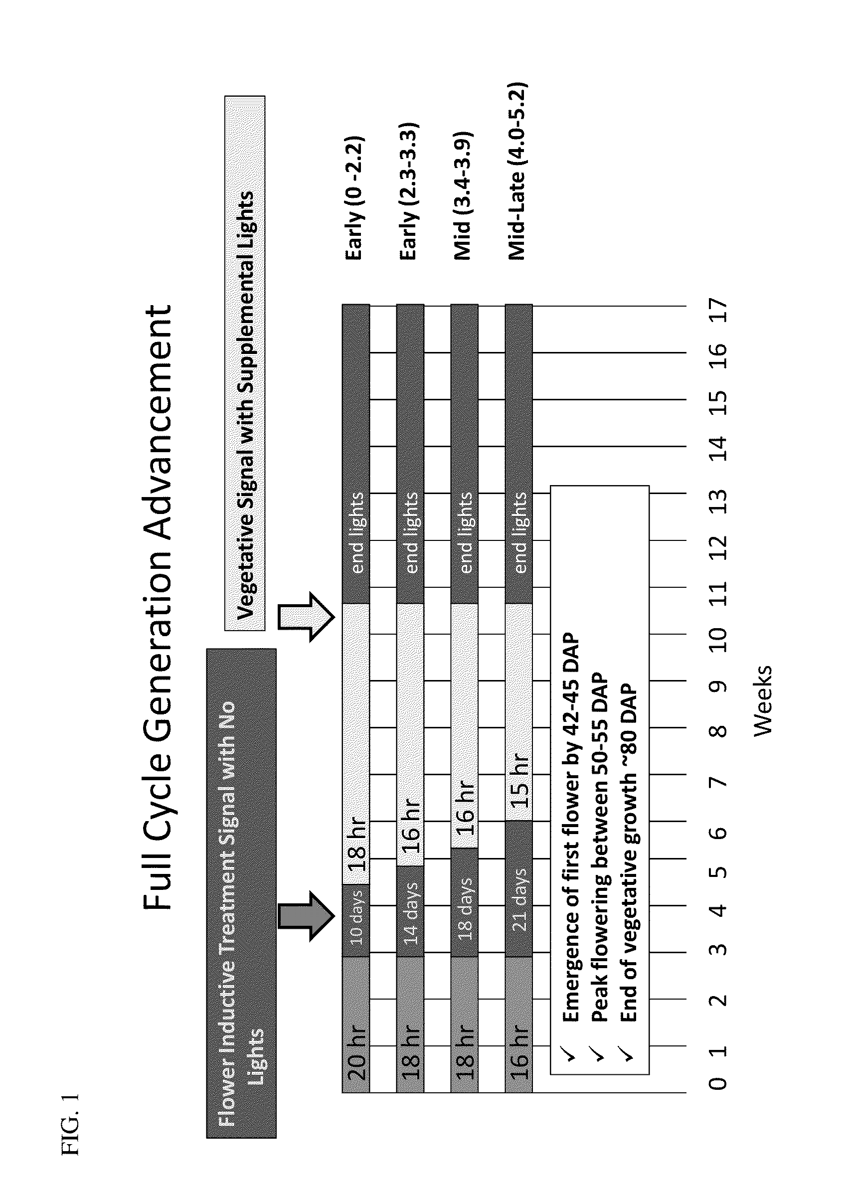 Methods for modifying flowering time and seed yield in field crops