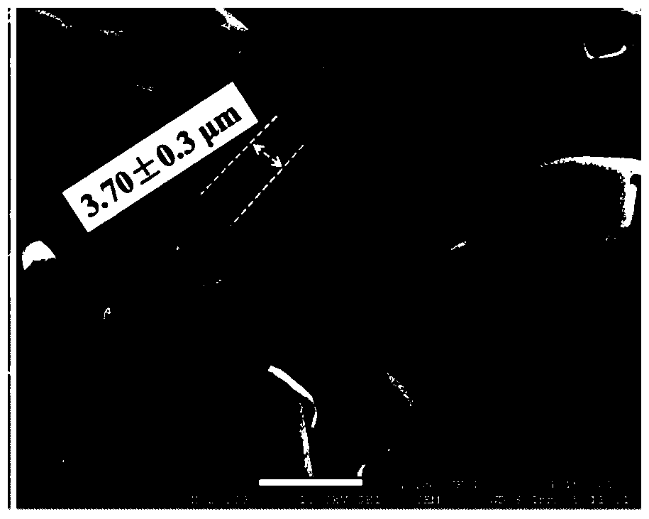 A preparation method of organic/inorganic hybrid double-layer nano-film self-rolling tube