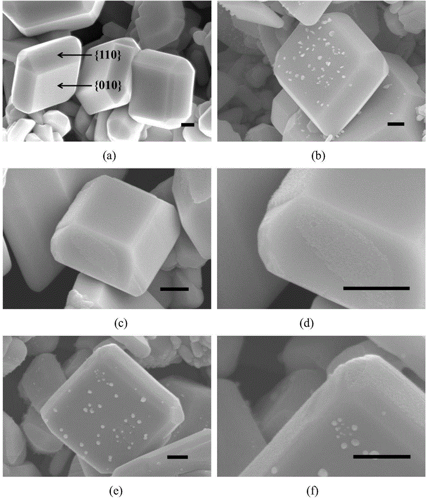 High-performance photocatalyst for water treatment and preparation method thereof