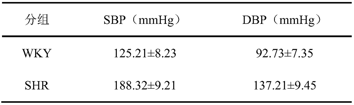 Application of Danshexinkun C in preparation of medicines treating hypertensive heart muscle fibrosis