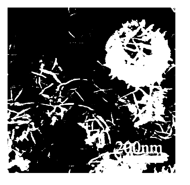 Method for preparing hierarchical floriform hollow-structure CuS