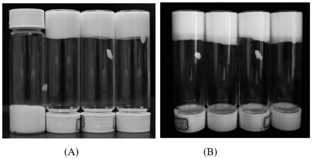 Preparation method and application of bicontinuous emulsion gel