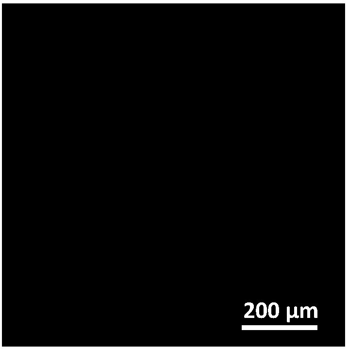 A method for rapid and continuous preparation of large domain graphene films