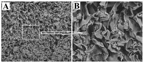 Refined plant polysaccharide, preparing method and application to preparing cosmetics