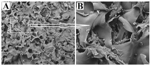 Refined plant polysaccharide, preparing method and application to preparing cosmetics