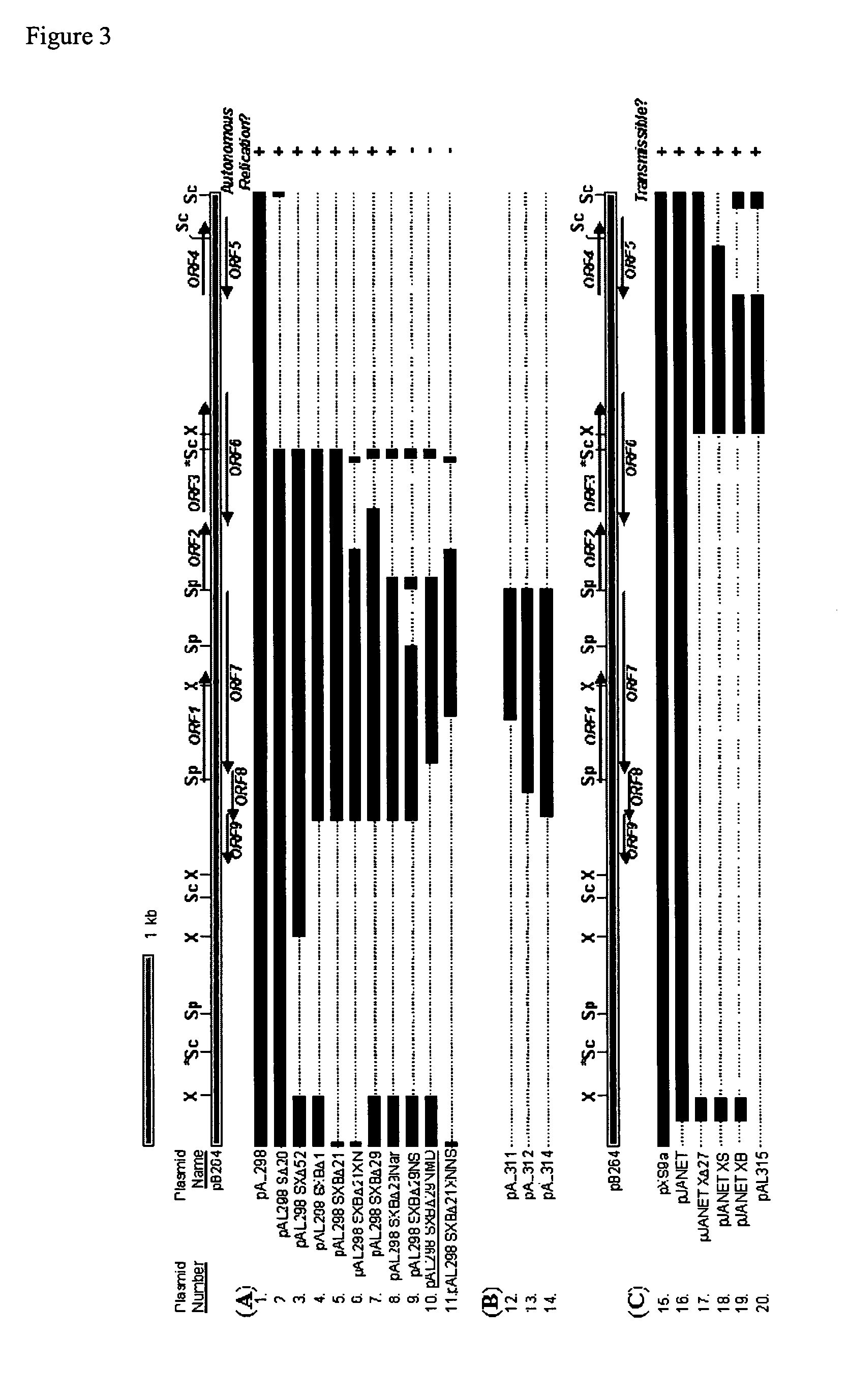 Novel compositions and methods for genetic manipulation of Rhodococcus bacteria