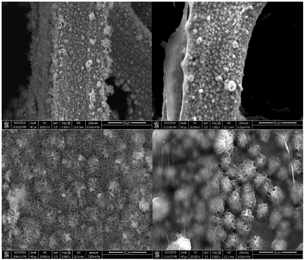 Method for preparing graphene wrapped 3D flowerlike nickel sulfide/foamed nickel material