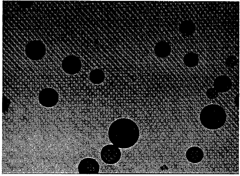 Molecular imprinting material as well as preparation method and application thereof