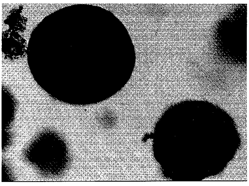 Molecular imprinting material as well as preparation method and application thereof