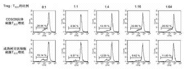 In vitro amplification and low-temperature storage method for regulatory T cells of umbilical cord blood