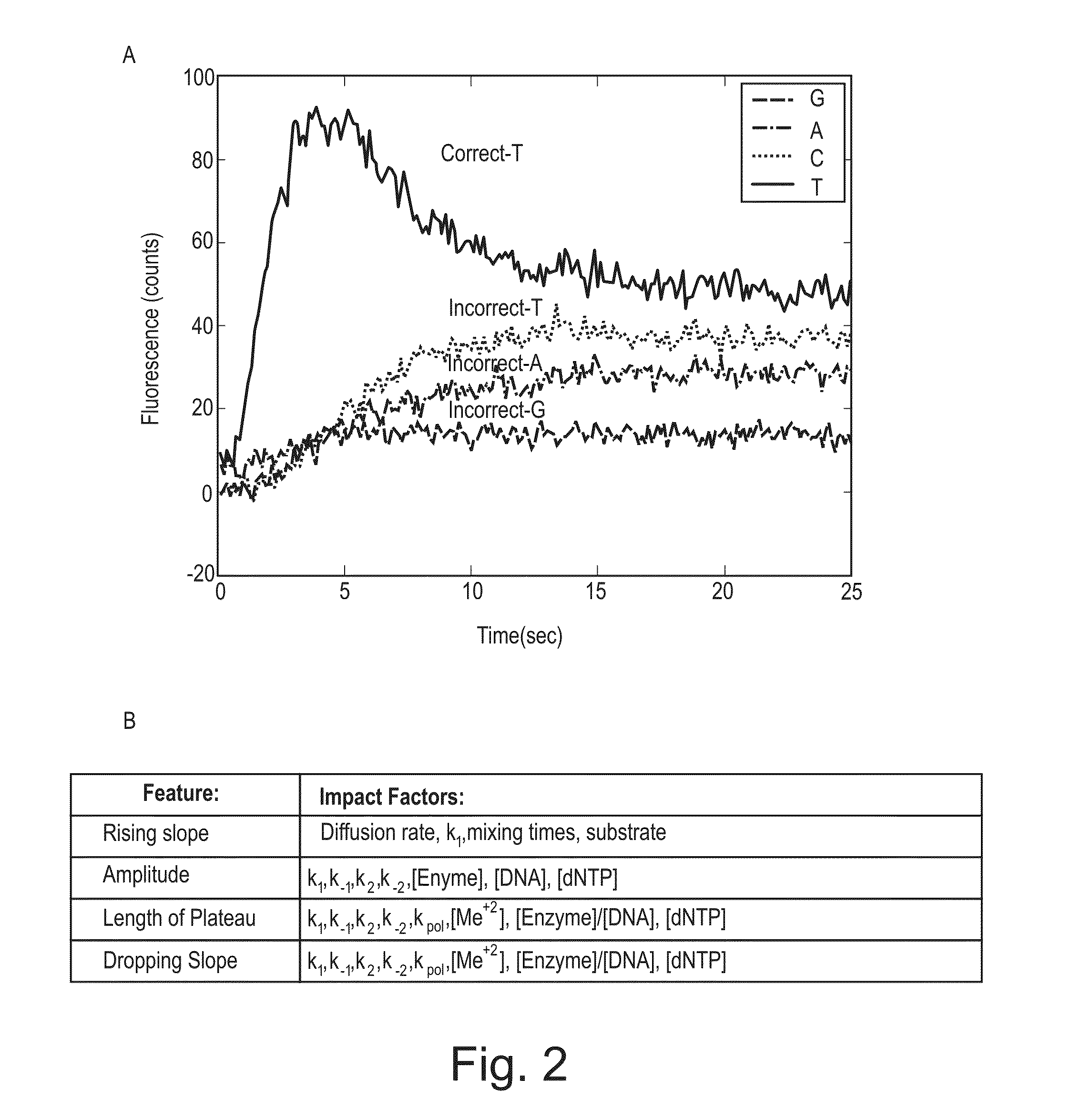 Apparatus and methods for kinetic analysis and determination of nucleic acid sequences