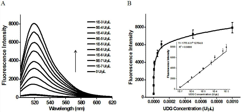 Method of detecting UDG activity by enzyme-mediated two-step serial signal amplification based on excision repair