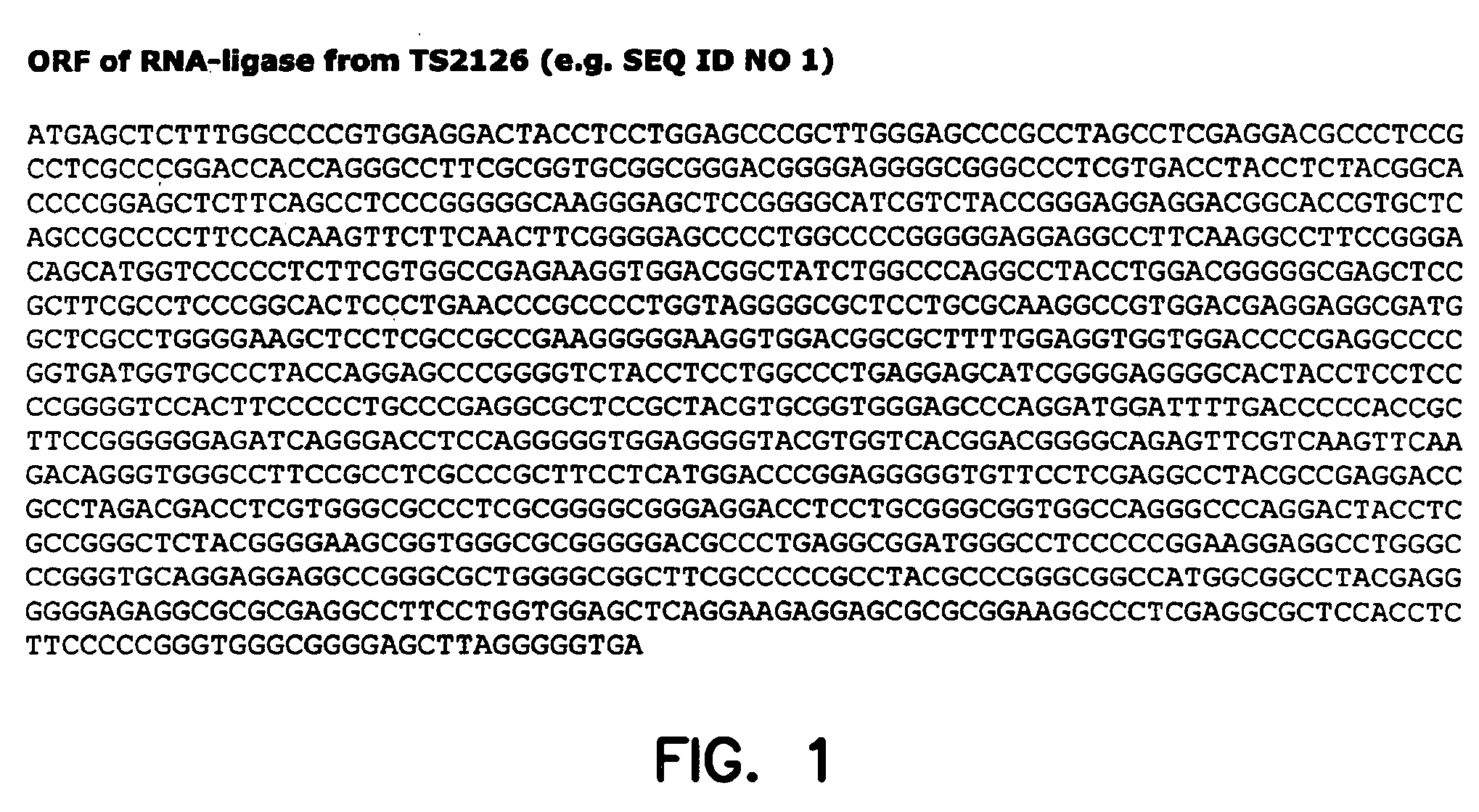 Thermostable RNA ligase from thermus phage