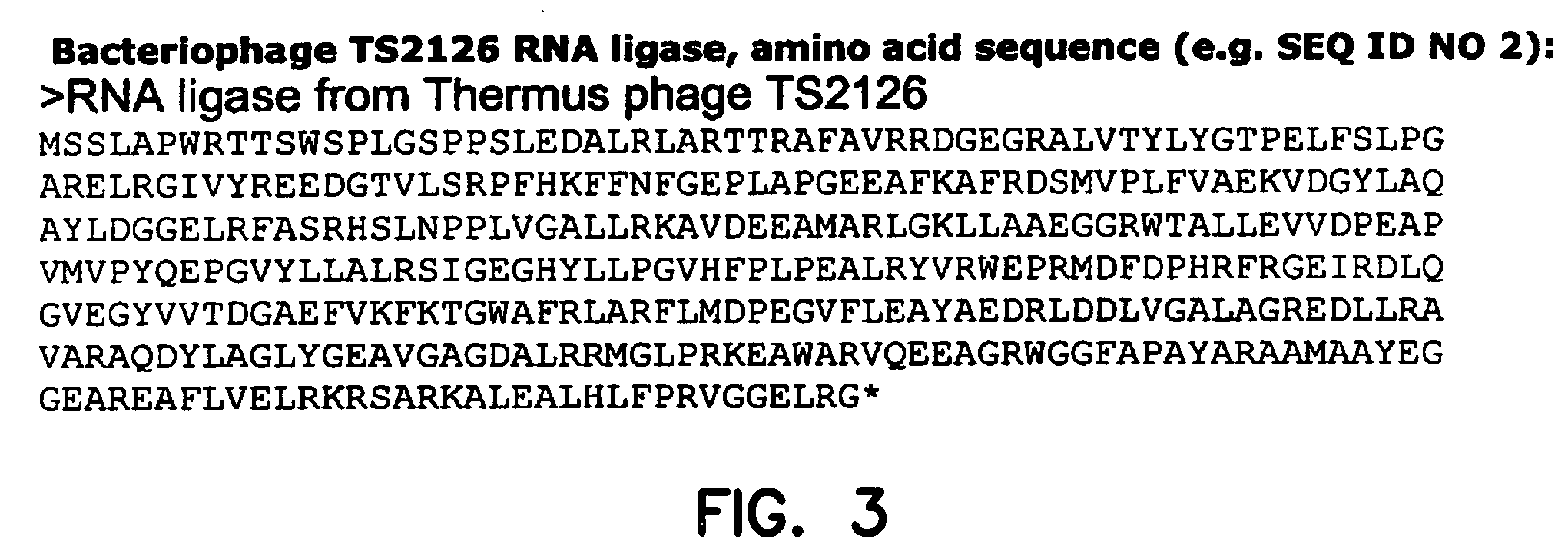 Thermostable RNA ligase from thermus phage