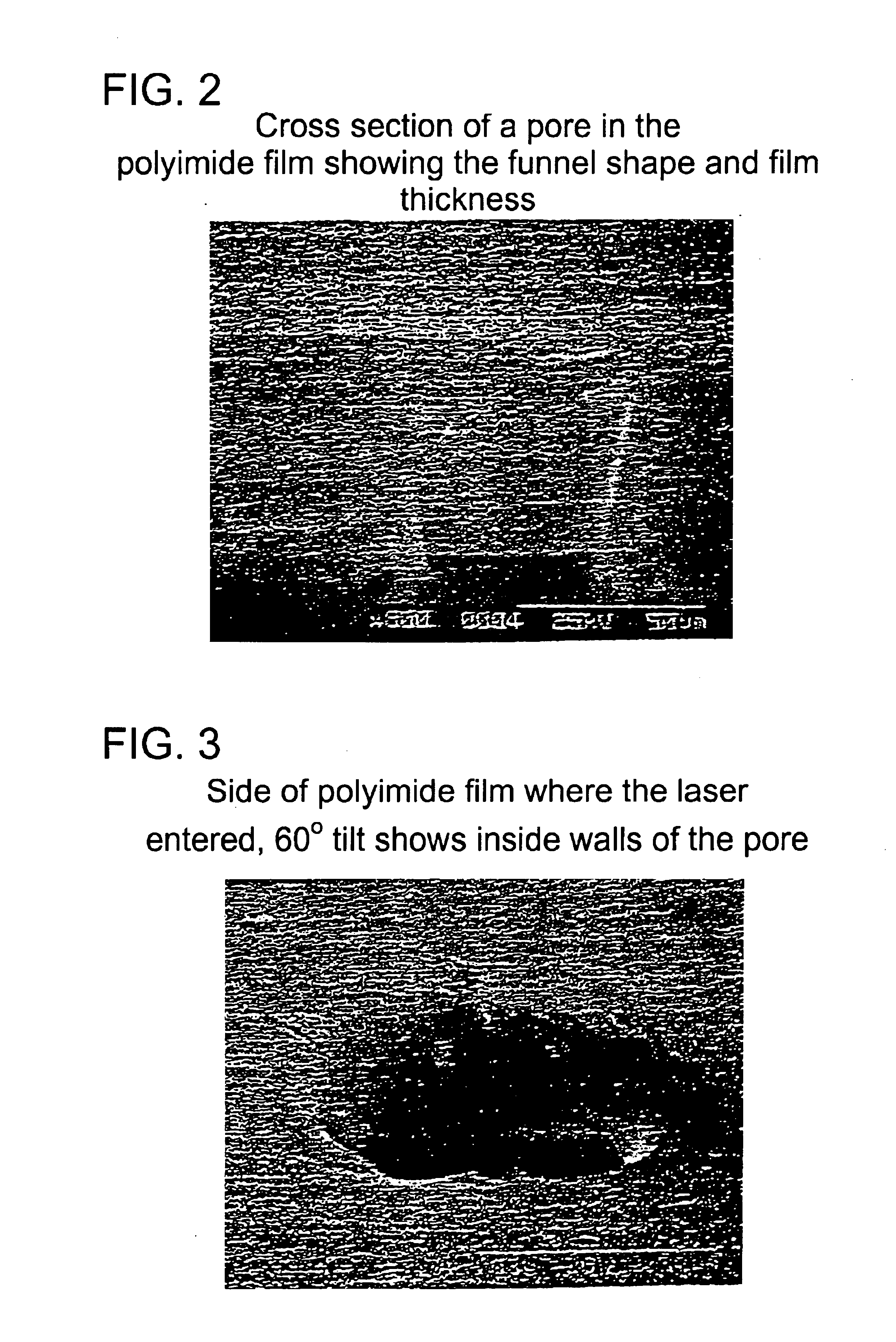 Microvolume immunoabsorbant assays with amplified electrochemical detection