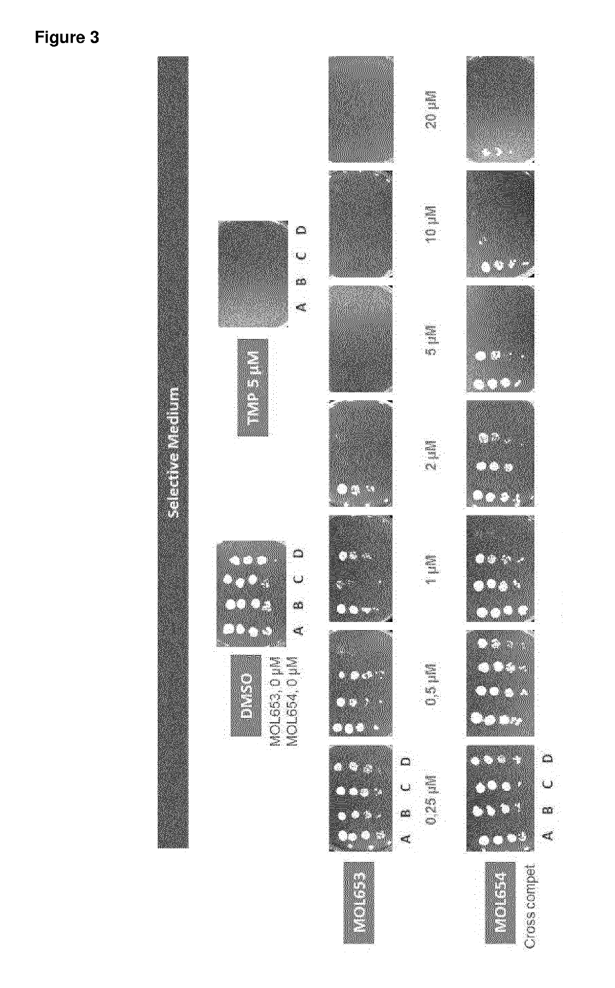 Papd5 and papd7 inhibitors for treating a hepatitis b infection