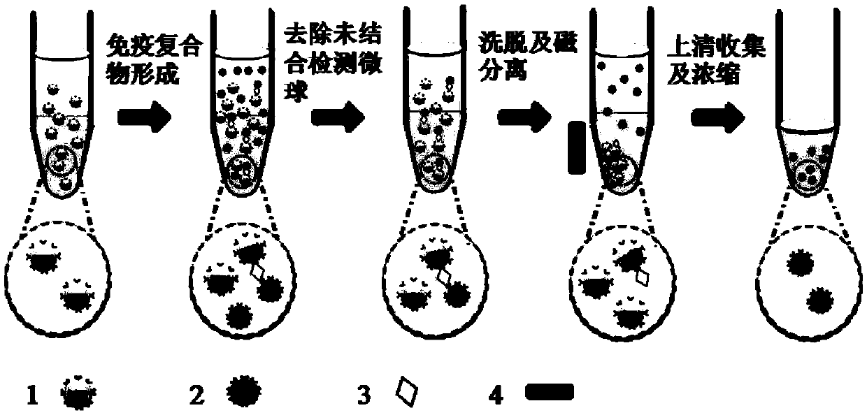 Low abundant protein absolute quantification method based on digital immunoassay technology