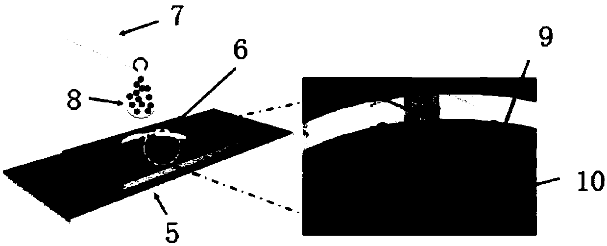 Low abundant protein absolute quantification method based on digital immunoassay technology