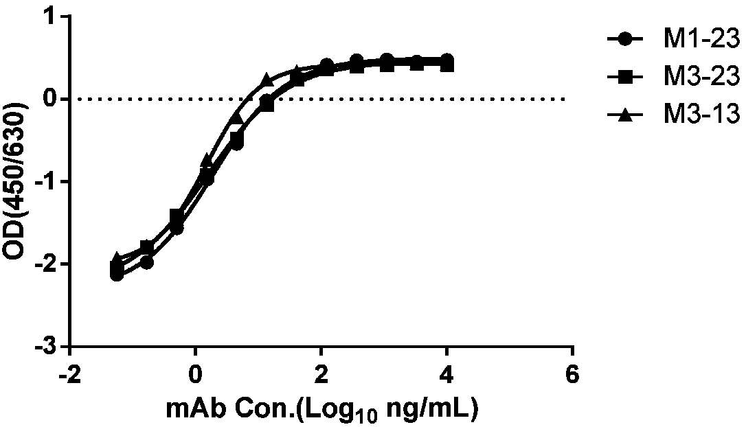 Antibodies for treatment of hepatitis B infection and related diseases