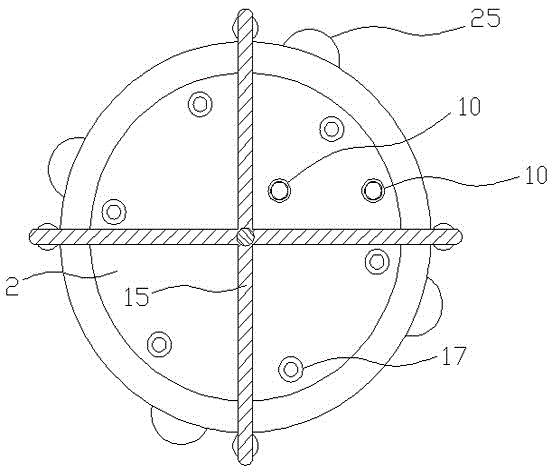 Cupping device