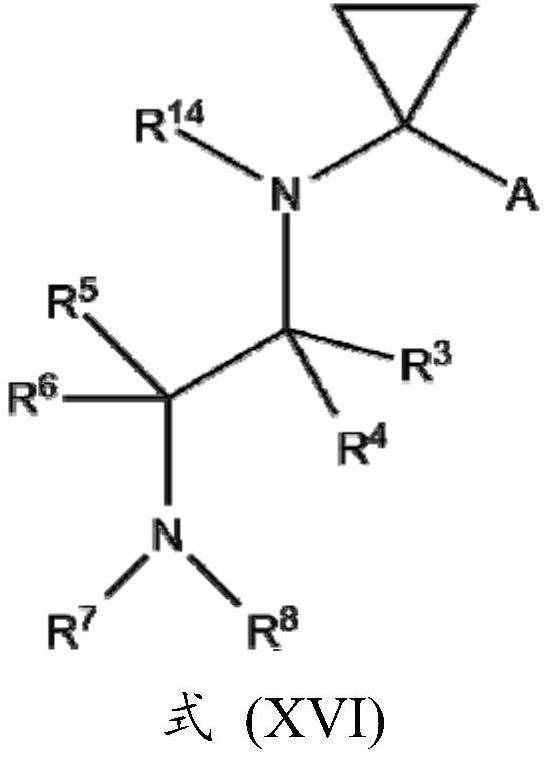 Novel potassium channel inhibitors