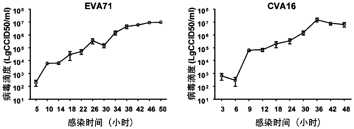 Intradermal injection technology for enhancing viral antigen immunogenicity and application of intradermal injection technology in research of hand-foot-mouth disease vaccine