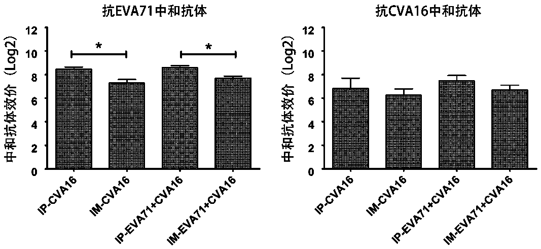 Intradermal injection technology for enhancing viral antigen immunogenicity and application of intradermal injection technology in research of hand-foot-mouth disease vaccine