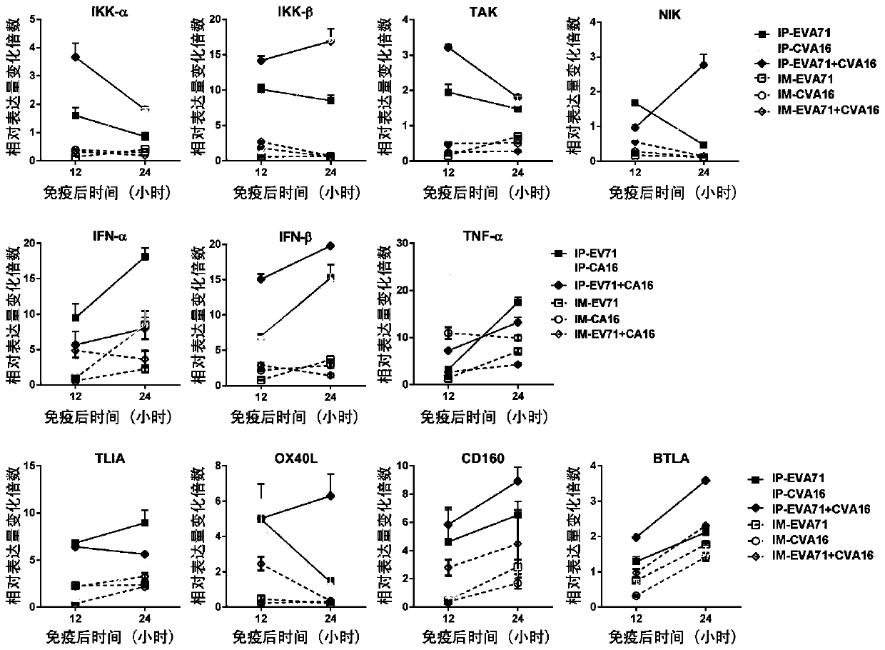 Intradermal injection technology for enhancing viral antigen immunogenicity and application of intradermal injection technology in research of hand-foot-mouth disease vaccine